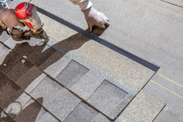 Best 4 Ply Roofing  in Homer Glen, IL